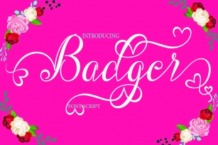 Badger Font Download