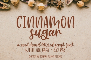 Cinnamon Sugar, Hand Lettered Script Font Font Download