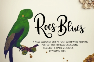 Roes Blues Font Download
