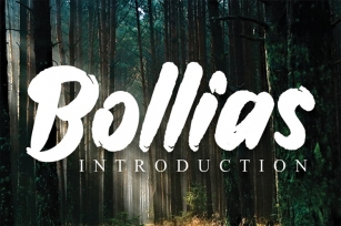 Bollias Font Download
