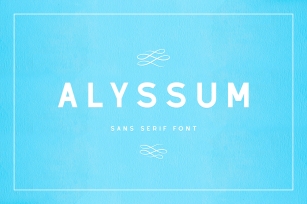 Alyssum - Sans Serif Font Font Download