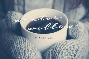 Winter Willow Font Download