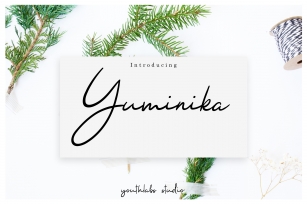 Yuminika - Handwritten Font Font Download