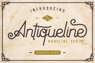 Antiqueline - Monoline Typeface Font Download
