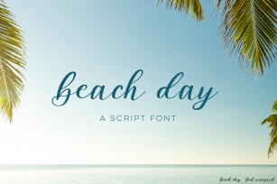 Beach DayScript Font Font Download