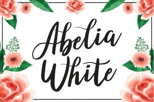 Abelia White Font Download