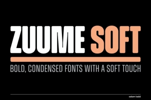 Zuume Soft Font Family Font Download