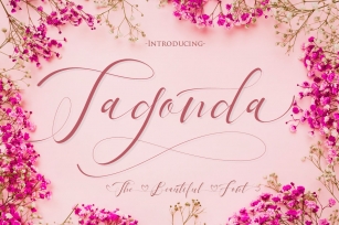 Tagonda The Beautiful Font Font Download