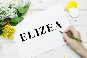 Elizea Font with 14 weights bundle Font Download