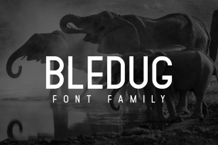 Bledug Font Family Font Download