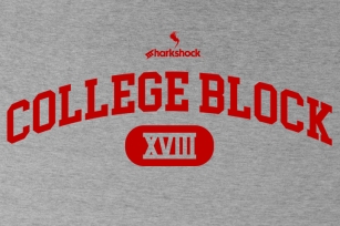 College Block Font Download