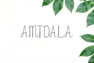 Amidala Script Font Font Download