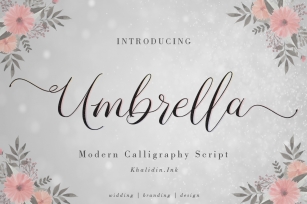 Umbrella Font Font Download