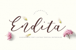 Endita Handwritten Font and Extras Font Download