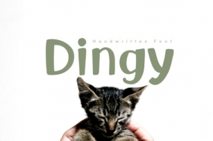 Dingy Font Download