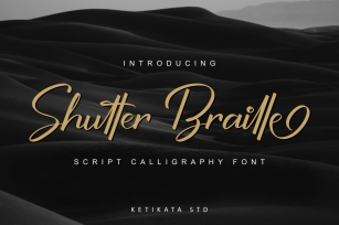 Shutter Braille Script Font Download