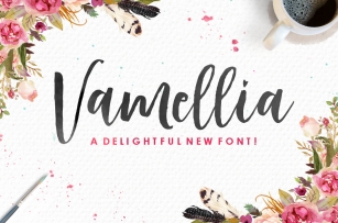 Vamellia Script Font Download