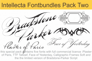 Intellecta Fontbundles Pack Two Font Download