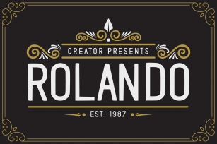 Rolando Vintage Font Font Download