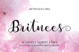Britnees Script Font Download