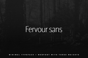 Fervour Sans Typeface  Web Fonts with 3 Weights Font Download