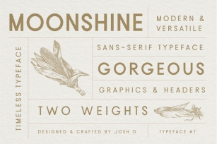 Moonshine Font | A Classic Sans Serif Font Download
