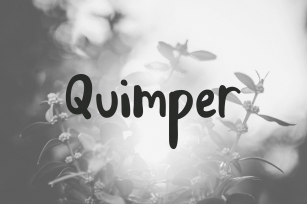 Quimper | Friendly Sans Serif Font Download
