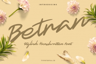 Betran Hand Drawing Font Font Download
