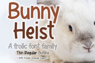 Bunny Heist |A Frolic Font Family Regular Thin Outline Font Download