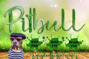 Pitbull Font Download