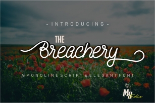 The Breachery Script Font Font Download