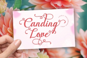 Canding Love - Script font Type face Font Download