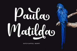 Paula Matilda Font Font Download