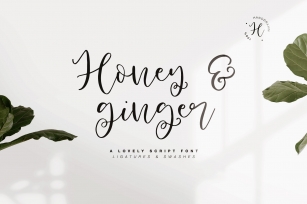 Honey & Ginger Font Download