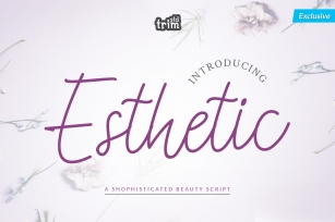 Esthetic - Beauty Script Font Font Download