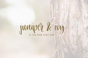 Juniper & Ivy Font Download