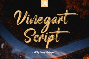 Vinegart - Handwritten Font Font Download