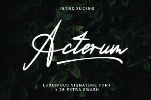 Acterum Signature Font - 26 Extra Swash Font Download