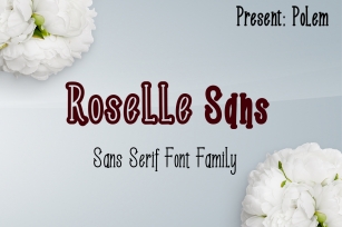 Roselle Sans Family Font Font Download