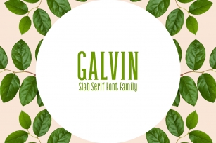Galvin Slab Serif Font Family Pack Font Download