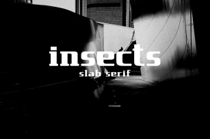 insects slab serif Font Download