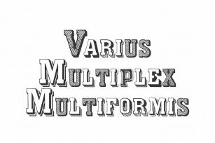 Varius Multiplex Multiformis Font Download