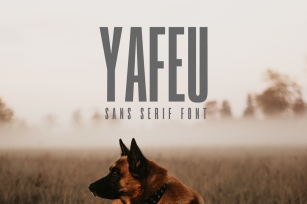 Yafeu Sans Serif Font Family Font Download