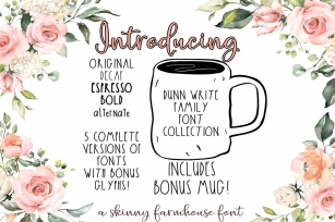 The Dunn Write Farmhouse Skinny Font Collection Font Download
