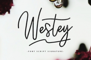 Westey 45 OFF Font Download
