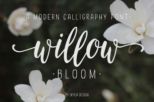 Modern calligraphy font Willow Bloom Font Download
