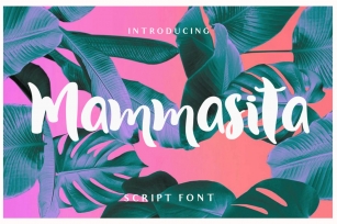 Mammasita Script Font Font Download