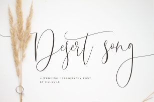 Desert Song | Calligraphy Script Font Download