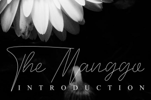 The Manggo Font Download