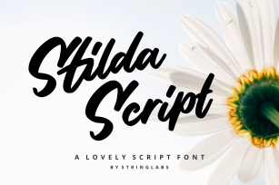 Stilda Script Font Font Download